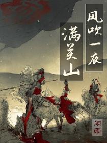 风吹一夜满关山同类小说